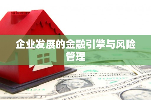 灵石企业发展的金融引擎与风险管理