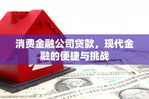 灵石消费金融公司贷款，现代金融的便捷与挑战
