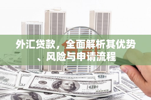 灵石外汇贷款，全面解析其优势、风险与申请流程