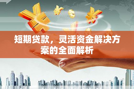 灵石短期贷款，灵活资金解决方案的全面解析