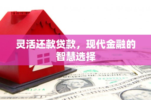 灵石灵活还款贷款，现代金融的智慧选择