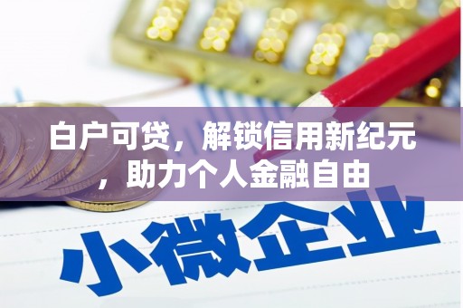 灵石白户可贷，解锁信用新纪元，助力个人金融自由