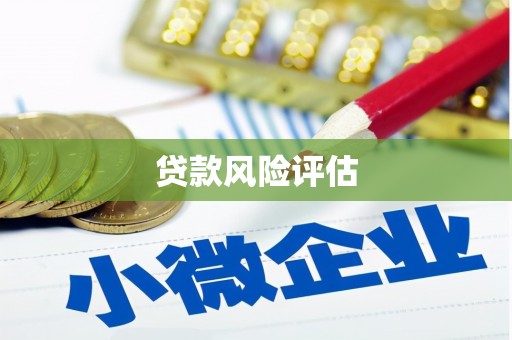 灵石贷款风险评估