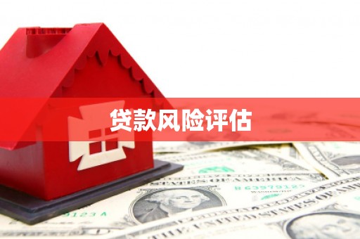 灵石贷款风险评估