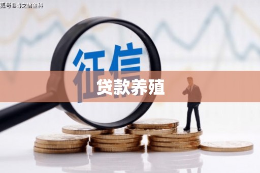 灵石贷款养殖