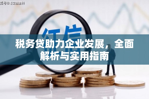 灵石税务贷助力企业发展，全面解析与实用指南
