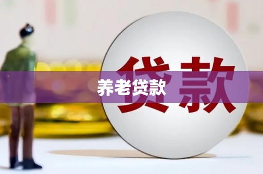 灵石养老贷款
