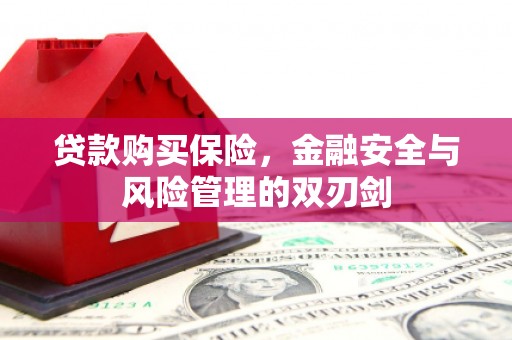 灵石贷款购买保险，金融安全与风险管理的双刃剑