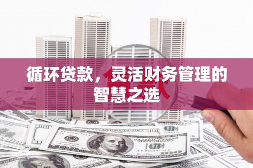 灵石循环贷款，灵活财务管理的智慧之选