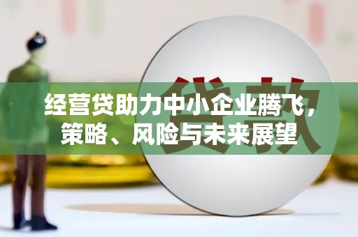 灵石经营贷助力中小企业腾飞，策略、风险与未来展望