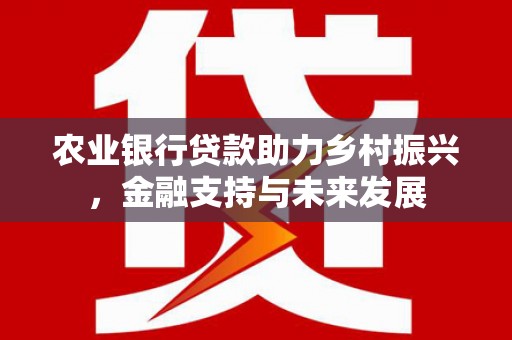 灵石农业银行贷款助力乡村振兴，金融支持与未来发展