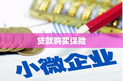 灵石贷款购买保险