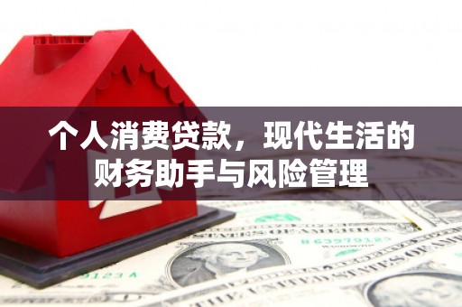 灵石个人消费贷款，现代生活的财务助手与风险管理