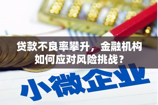 灵石贷款不良率攀升，金融机构如何应对风险挑战？