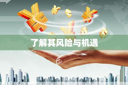灵石了解其风险与机遇