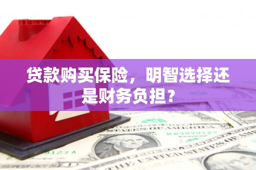 灵石贷款购买保险，明智选择还是财务负担？