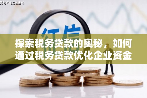 灵石探索税务贷款的奥秘，如何通过税务贷款优化企业资金流