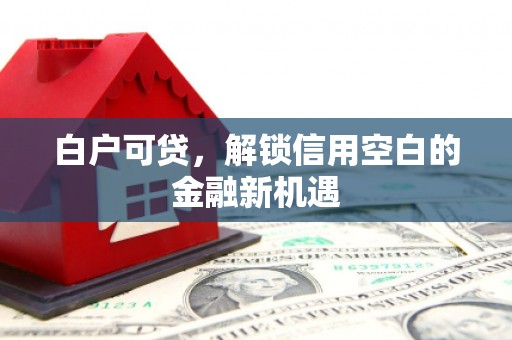 灵石白户可贷，解锁信用空白的金融新机遇