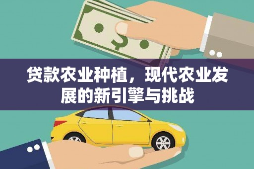 灵石贷款农业种植，现代农业发展的新引擎与挑战