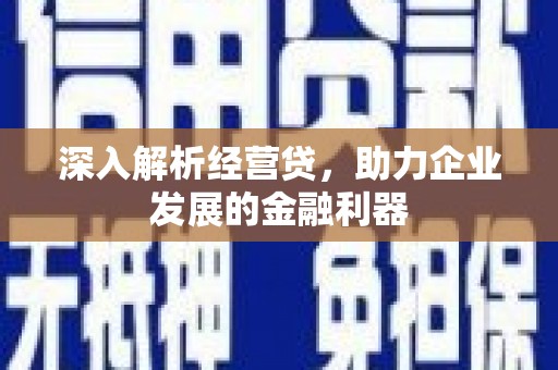 灵石深入解析经营贷，助力企业发展的金融利器