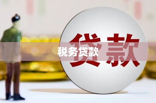 灵石税务贷款