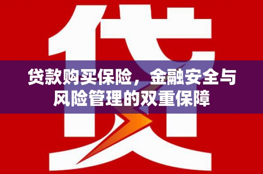 灵石贷款购买保险，金融安全与风险管理的双重保障
