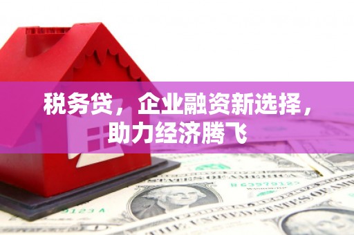 灵石税务贷，企业融资新选择，助力经济腾飞