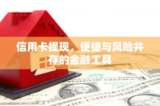 灵石信用卡提现，便捷与风险并存的金融工具