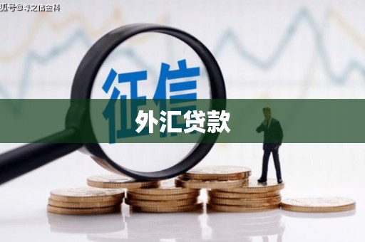 灵石外汇贷款