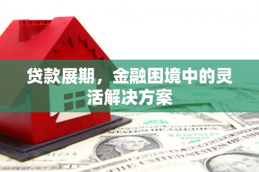 灵石贷款展期，金融困境中的灵活解决方案