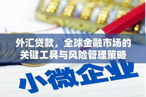灵石外汇贷款，全球金融市场的关键工具与风险管理策略