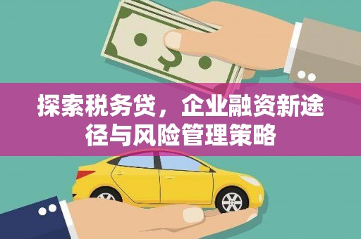 灵石探索税务贷，企业融资新途径与风险管理策略