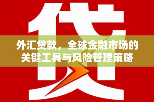 灵石外汇贷款，全球金融市场的关键工具与风险管理策略