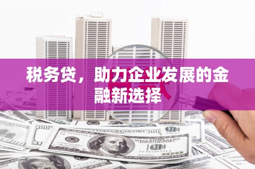 灵石税务贷，助力企业发展的金融新选择