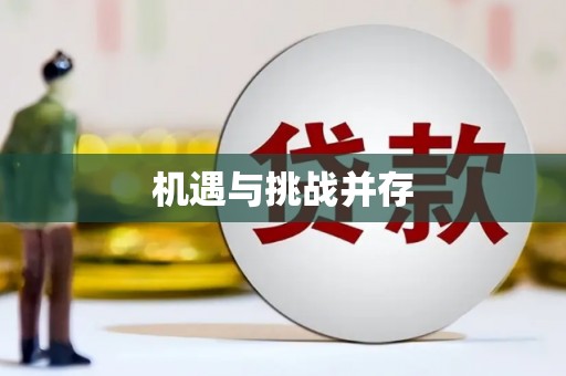 灵石机遇与挑战并存