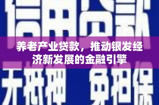 灵石养老产业贷款，推动银发经济新发展的金融引擎