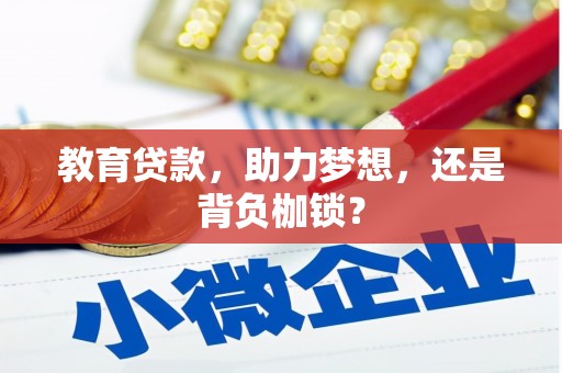 灵石教育贷款，助力梦想，还是背负枷锁？