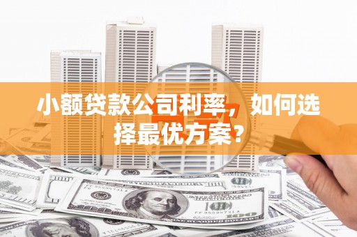 灵石小额贷款公司利率，如何选择最优方案？