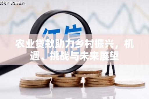灵石农业贷款助力乡村振兴，机遇、挑战与未来展望