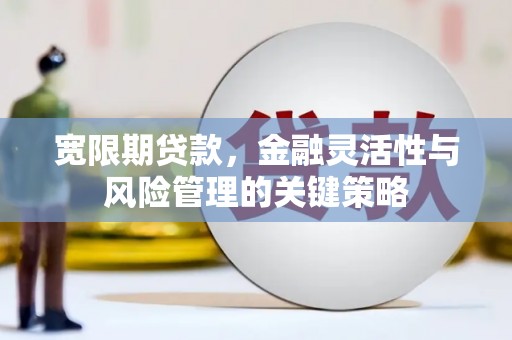 灵石宽限期贷款，金融灵活性与风险管理的关键策略