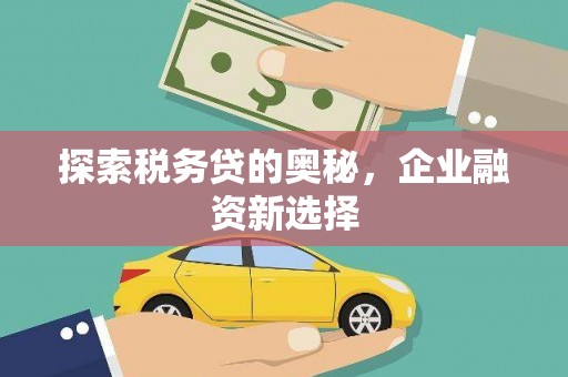 灵石探索税务贷的奥秘，企业融资新选择