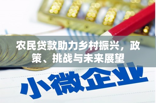 灵石农民贷款助力乡村振兴，政策、挑战与未来展望
