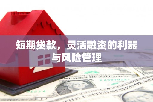 灵石短期贷款，灵活融资的利器与风险管理