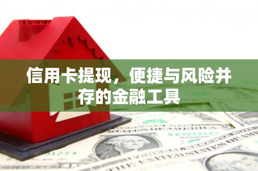 灵石信用卡提现，便捷与风险并存的金融工具