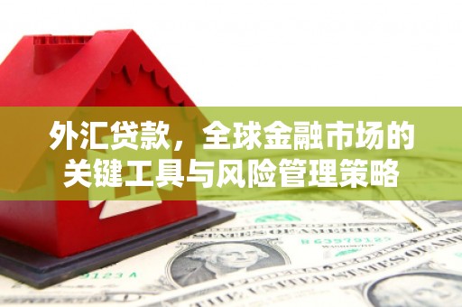 灵石外汇贷款，全球金融市场的关键工具与风险管理策略