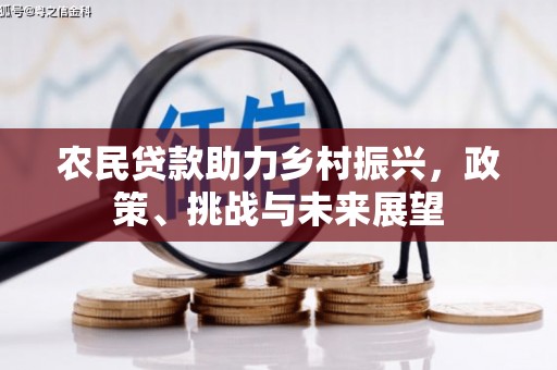 灵石农民贷款助力乡村振兴，政策、挑战与未来展望