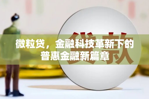 灵石微粒贷，金融科技革新下的普惠金融新篇章