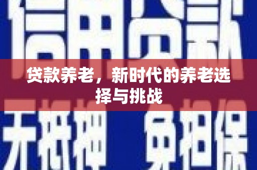 灵石贷款养老，新时代的养老选择与挑战