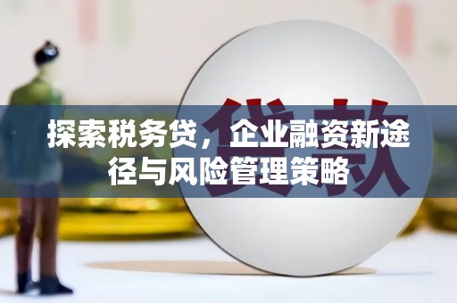 灵石探索税务贷，企业融资新途径与风险管理策略