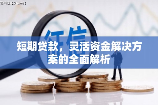 灵石短期贷款，灵活资金解决方案的全面解析